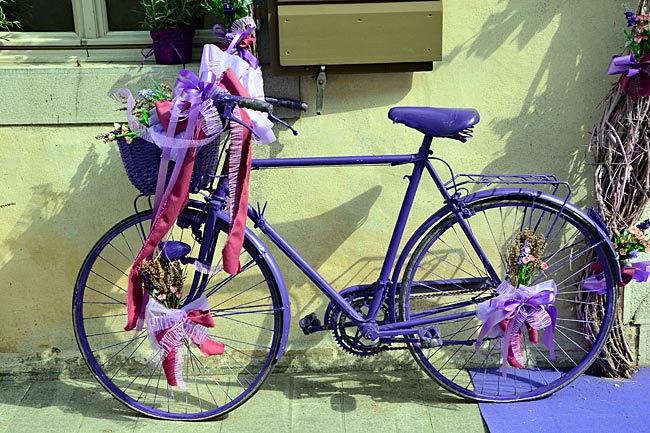 Alpe Adria Radweg - In Venzone dreht sich einiges um Lavendel, auch bei der Farbgebung der Fahrräder