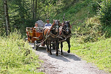 Österreich - Altenmarkt-Zauchensee - Romantische Kutschfahrt mit Robert Herzgsell bei Altenmarkt