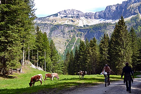 Österreich - Ausseerland - Blaa-Alm