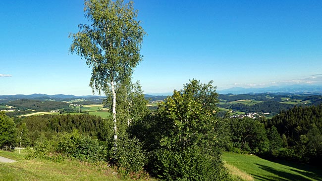 Oberösterreich - Mühlviertel - Blick bis zu den Alpen über die typische Hügellandschaft