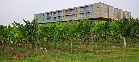 Loisium Wine & Spa Resort, Langenlois