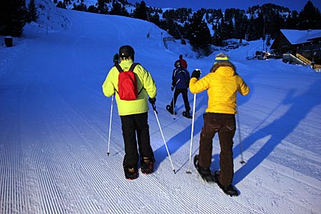 Österreich - Turracher Höhe - Schneeschuhwandern