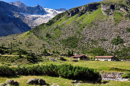 Volunteering Tirol: Waxeggalm im Zemmgrund, Hochgebirgsnaturpark Zillertaler Alpen, Tirol, Österreich