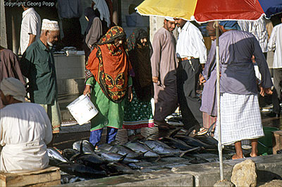 Jeden Morgen verkaufen die Fischer ihren Fang
am Markt von Matrah