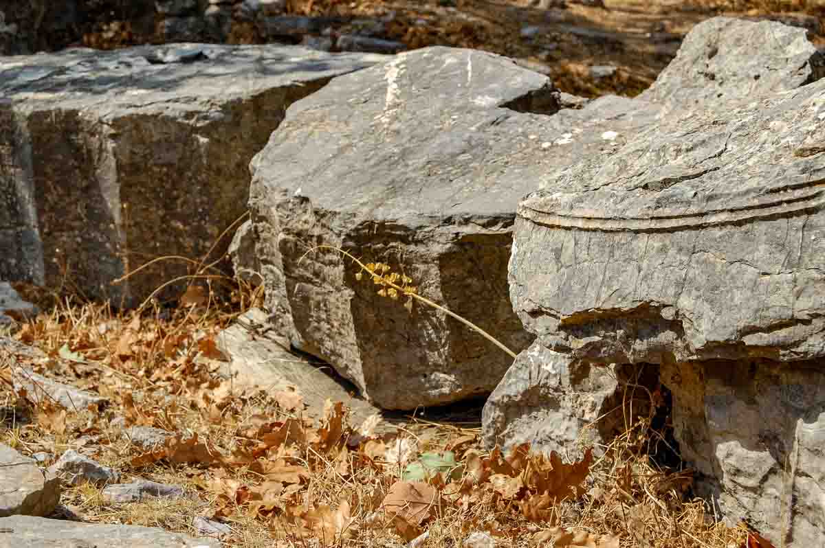 Rom: Antico Caffe Greco