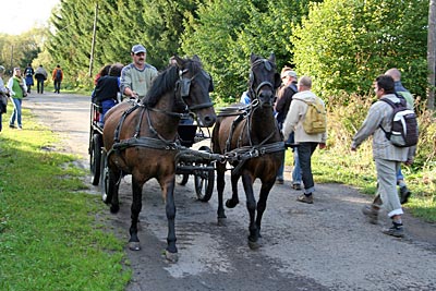 Polen - Waldkarpaten - Kutsche