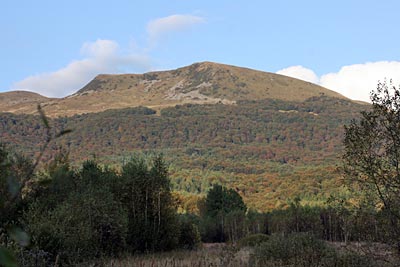 Polen - Waldkarpaten