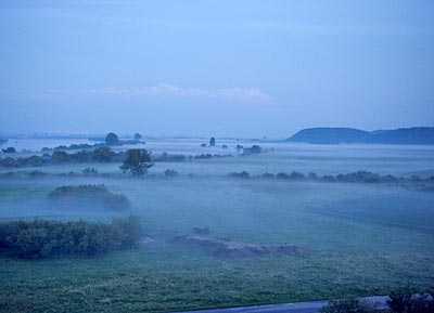 Polen - Nebelschwaden bei Gniew