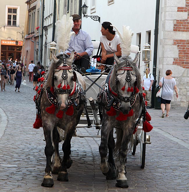 Polen - Krakau mit dem Rad - Kutsche