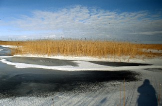 Polen / Biebrza / Landschaft