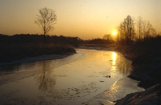 Polen / Biebrza / Landschaft