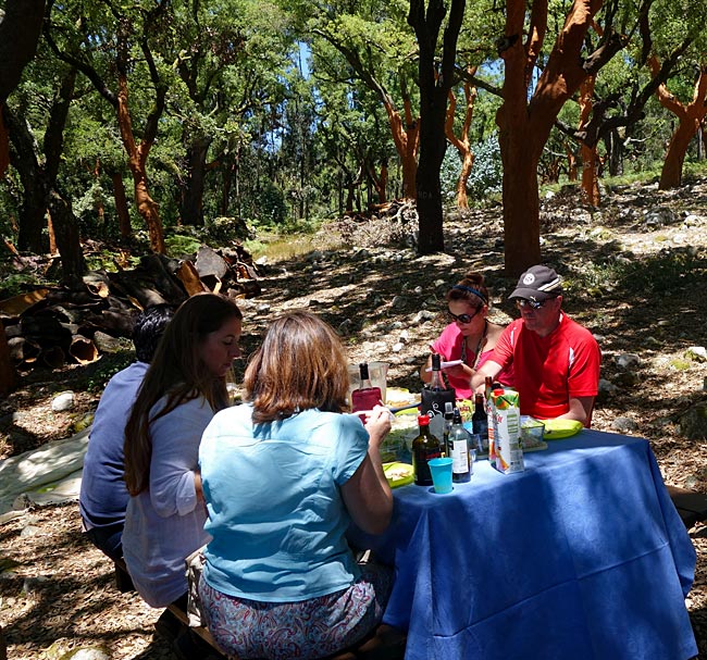 Portugal - Nach der Wanderung, Picknick im Korkeichenwald von Ferraria de San Joao