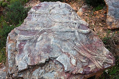 Portugal - Geopark „Naturtejo da Meseta Meridional“