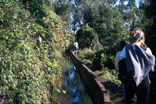 Portugal Madeira Levada