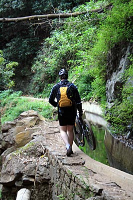Madeira - Ein Mountainbiker auf einer Levada