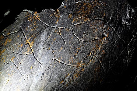 Paläolothische Rock Art wie dieses eingeritzte Pferd in Penacosa, sieht man nachts bei künstlichem Licht am besten. Parque Arqueológico Vale do Côa, Unesco Welterbe, Vila Nova de Foz Côa, Portugal