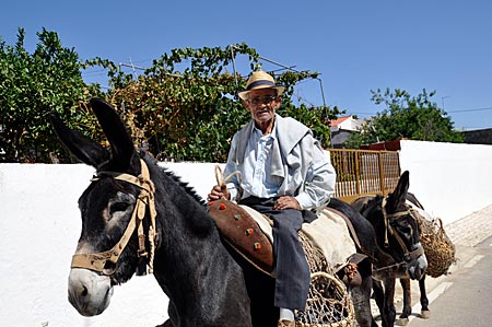 Protugal - Algarve - Via Algaraviana - alter Mann mit Eseln