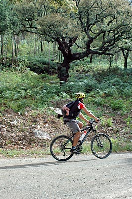 Zentral-Portugal - Mountain-Biker Nuno Santos vor einer Korkeiche