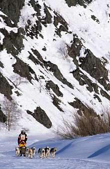 Russland, kamtschatka - Schlitten