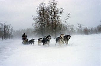 Russland Kamtschatka Schneesturm