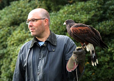 Schottland - Gleneagle - Falke