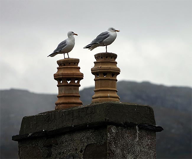 Schottland - Ullapool am Loch Broome - Schornsteinkopf