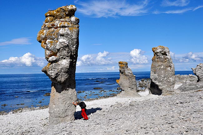 Von Wind und Wetter geformte Kalksteinsäulen, sogenannte Raukar oder auch Raukfelder, im Langhammars Naturreservat auf Farö, Gotland, Schweden.