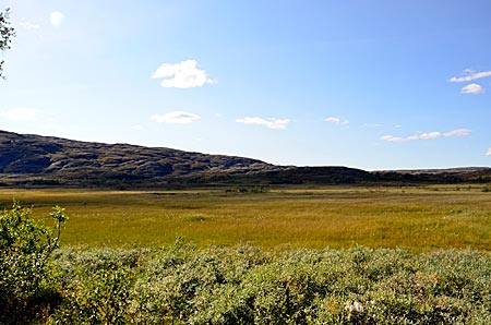 Schweden - Ausgedehnte Moore links und rechts des Gamla Vägn