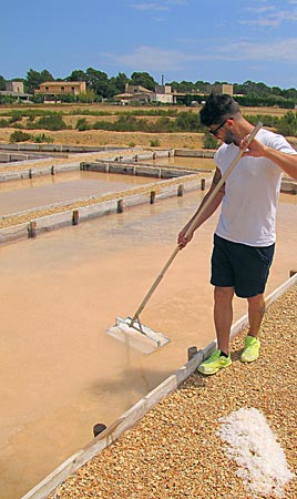 Mallorca - Colonia Sant Jordi - Salzgärten von Es Trenc