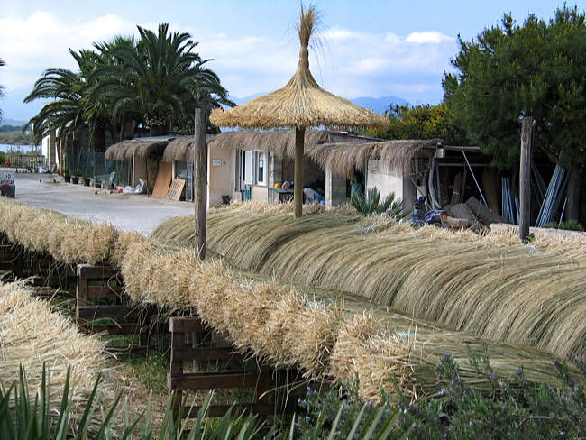 Mallorca - Schirmherstellung