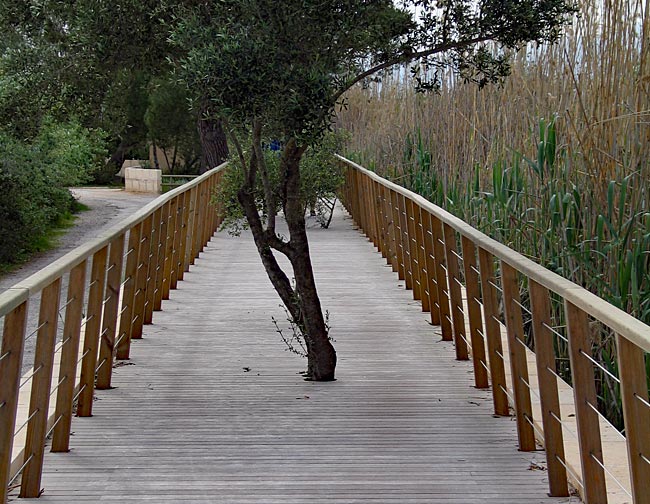 Mallorca - Naturpark S'Albufera