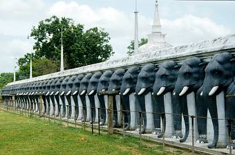 Sri  Lanka, Anuradhaura, Elefanten-Reihe