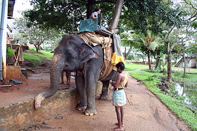 Im Hochland von Sri Lanka