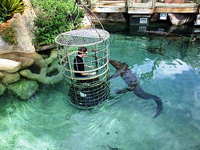 Südafrika - Cango Wildlife Ranch