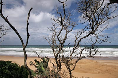 Südafrika - Sodwana Bay