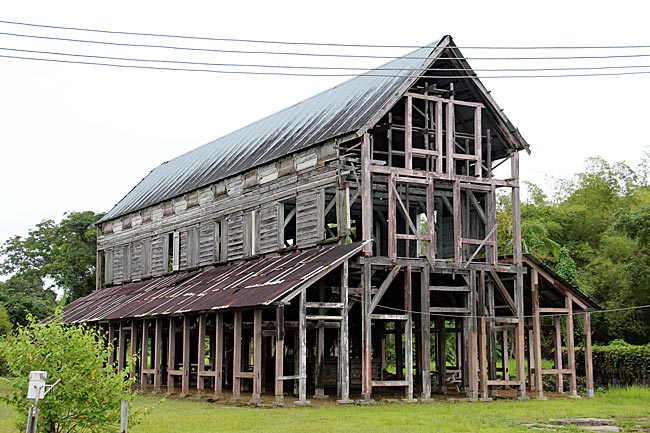 Suriname - auf der Peperpot-Plantage