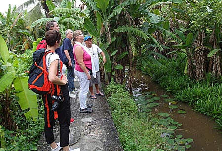 Thailand - Bangkok - Tour durch das Dschungel- und Sumpfgebiet des Thonburi District