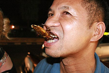 Thailand - Phitsanulok - frittierter Käfer