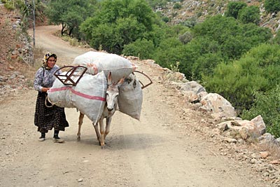 Türkei - Tslica - Frau mit beladenem Esel
