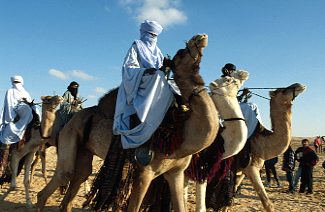 Tunesien / Douz / Kamelrennen