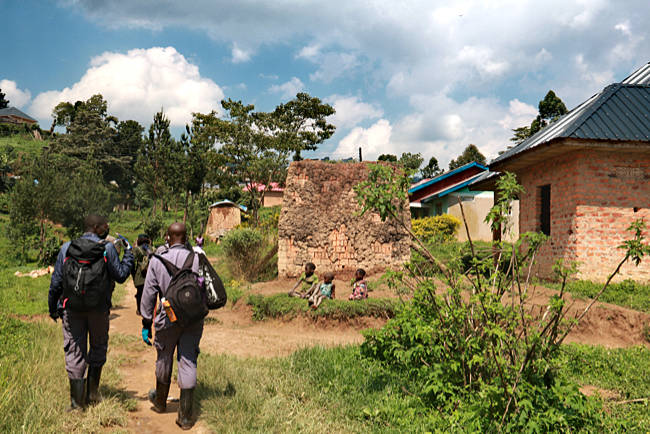 Uganda - Berggorillas im Bwindi Impenetrable Nationalpark