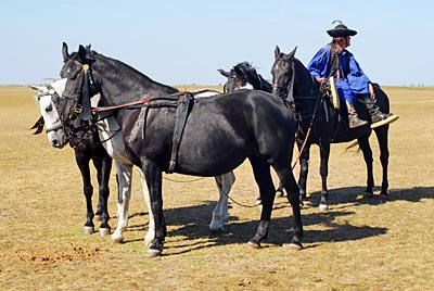 Ungarn - Reiter am Theiß-See