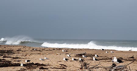 USA - Neuengland - Block Island