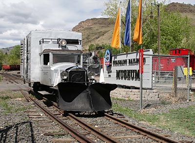 USA - Colorado - "Gallopierende Gans"