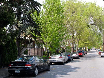 New York - Staten Island - ländlichen Straßenbild