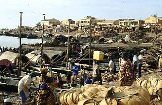 Hafen von Mopti / Mali (Suedosten)